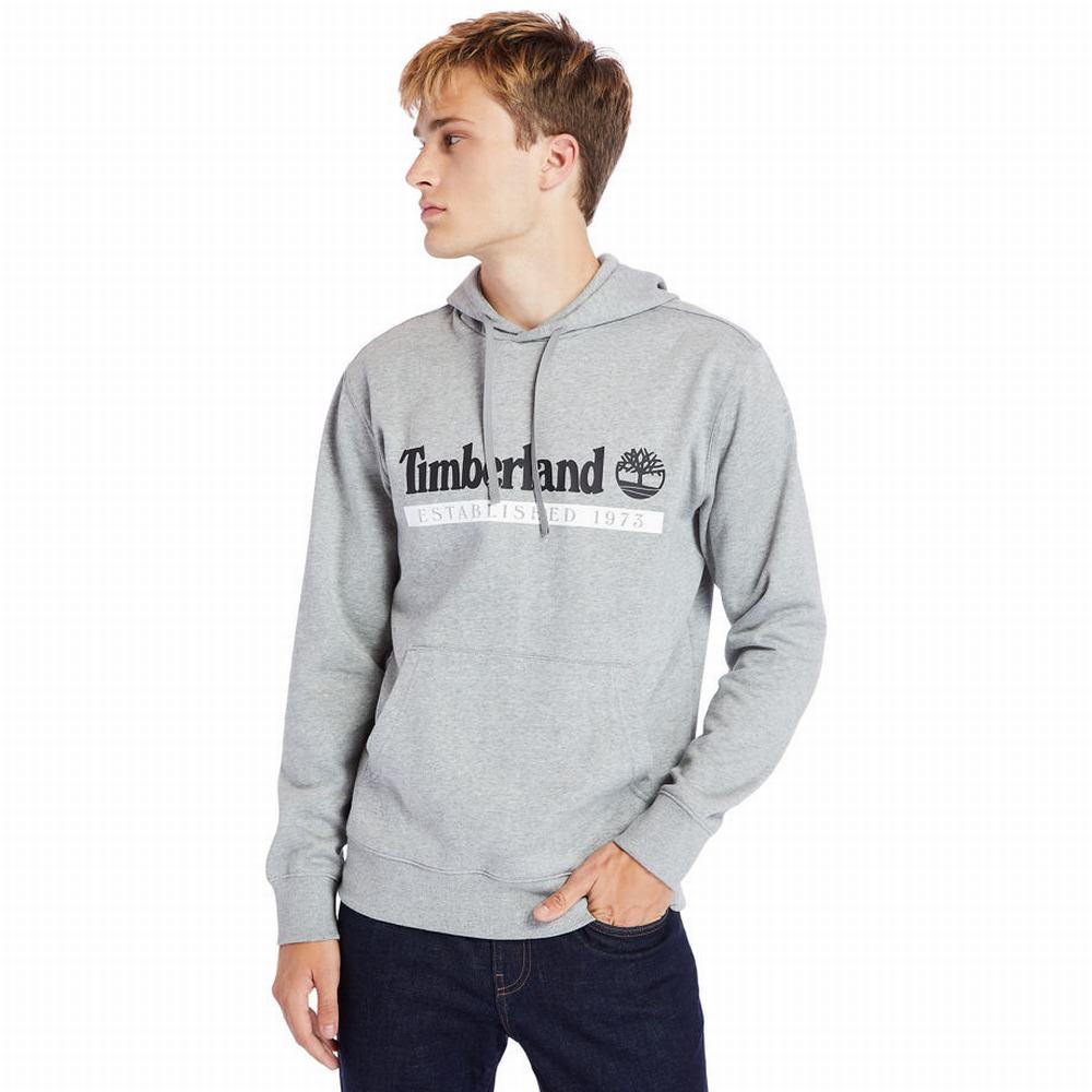 Pánské Mikiny Timberland 1973 S Kapucí Šedé | TI73154-971