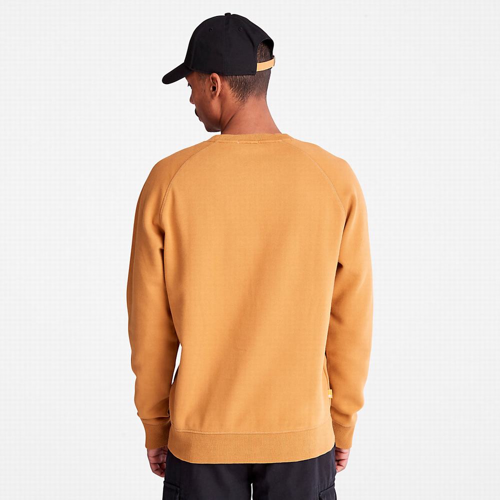 Pánské Mikiny Timberland Exeter River Žluté | TI42639-941