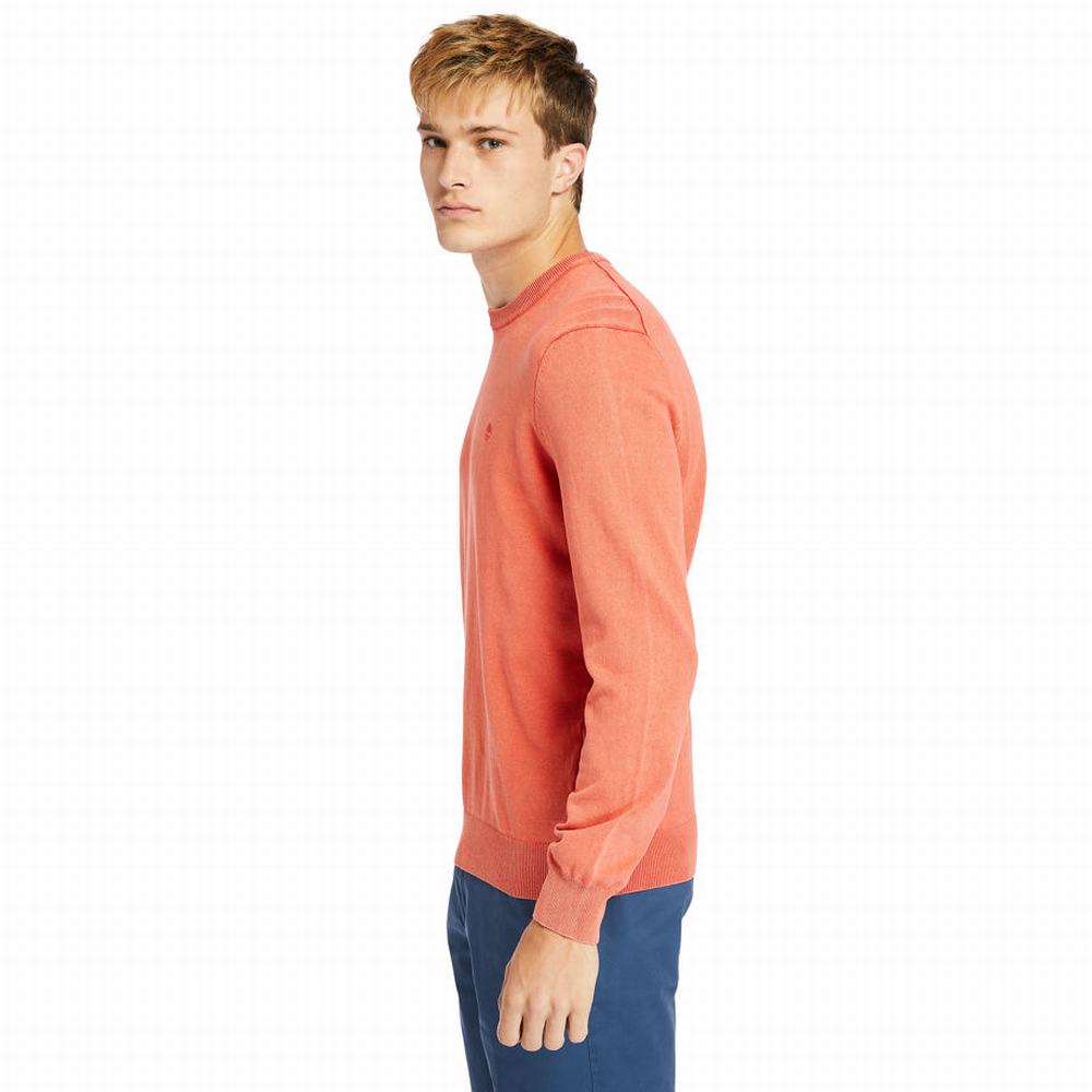 Pánské Mikiny Timberland Garment-Dyed Koralove | TI63201-426