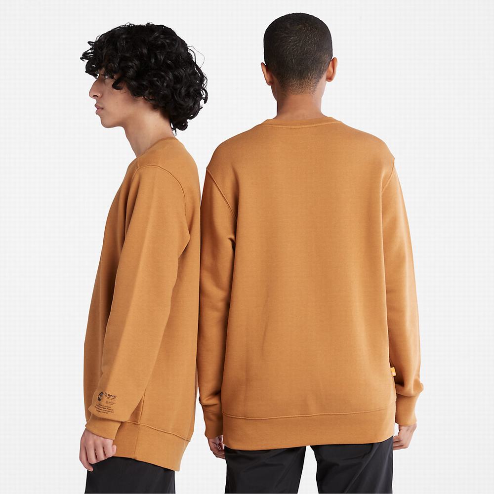 Pánské Mikiny Timberland Luxe Pohodlí Essentials Raglan Refibra™ Světle Hnědé | TI26987-492
