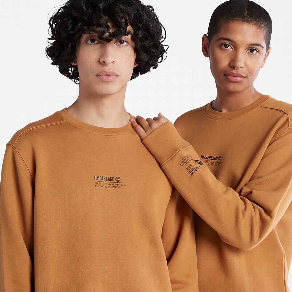 Pánské Mikiny Timberland Luxe Pohodlí Essentials Raglan Refibra™ Světle Hnědé | TI26987-492