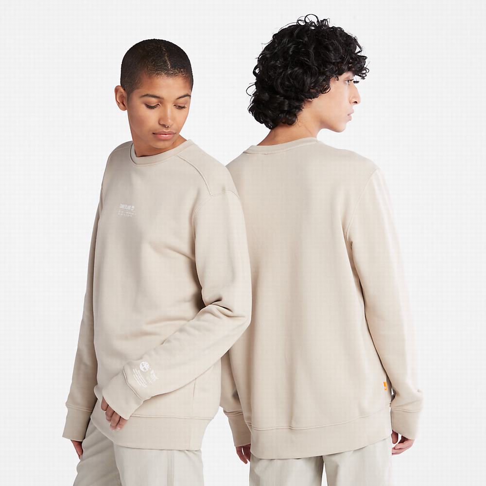 Pánské Mikiny Timberland Luxe Pohodlí Essentials Raglan Refibra™ Světle Šedé | TI37164-874