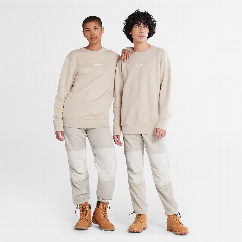 Pánské Mikiny Timberland Luxe Pohodlí Essentials Raglan Refibra™ Světle Šedé | TI37164-874