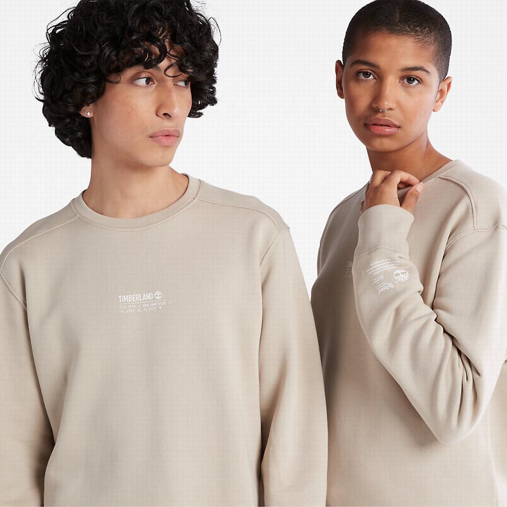Pánské Mikiny Timberland Luxe Pohodlí Essentials Raglan Refibra™ Světle Šedé | TI37164-874