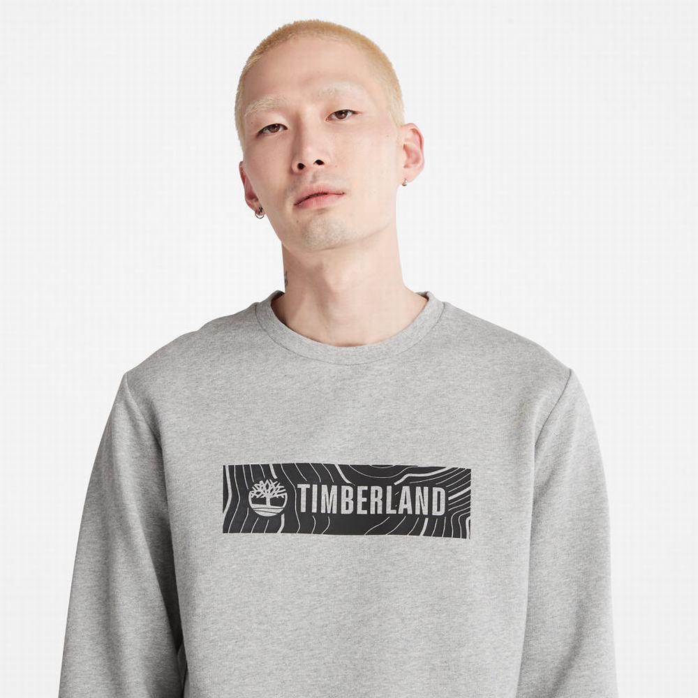 Pánské Mikiny Timberland Oyster River Logo Šedé | TI23714-376