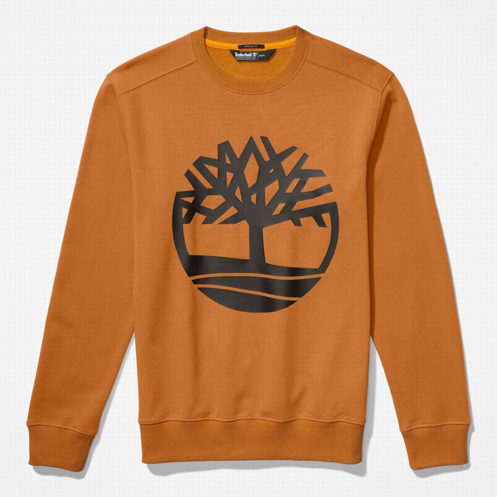 Pánské Mikiny Timberland Tree Logo Crewneck Hnědé Černé | TI05836-094
