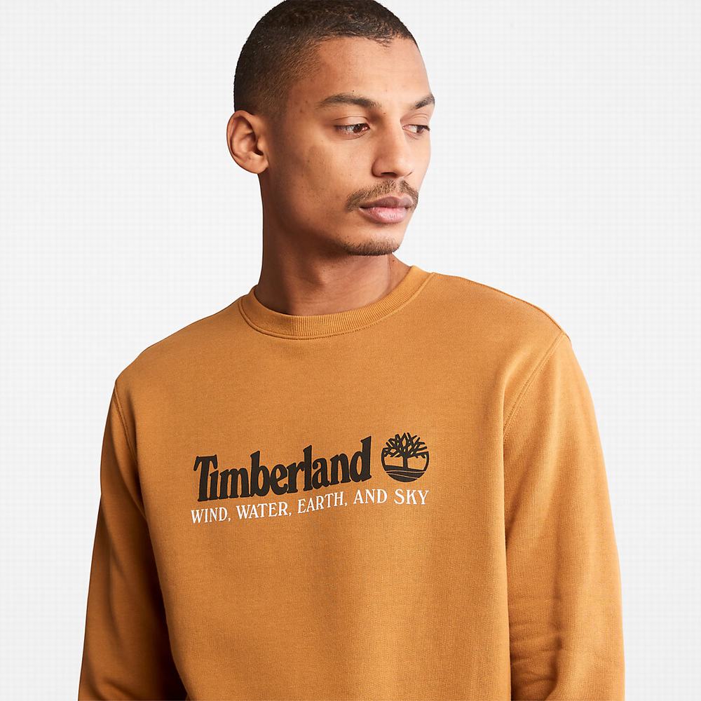 Pánské Mikiny Timberland Vítr, Vody, Earth and Sky™ Žluté | TI31890-308