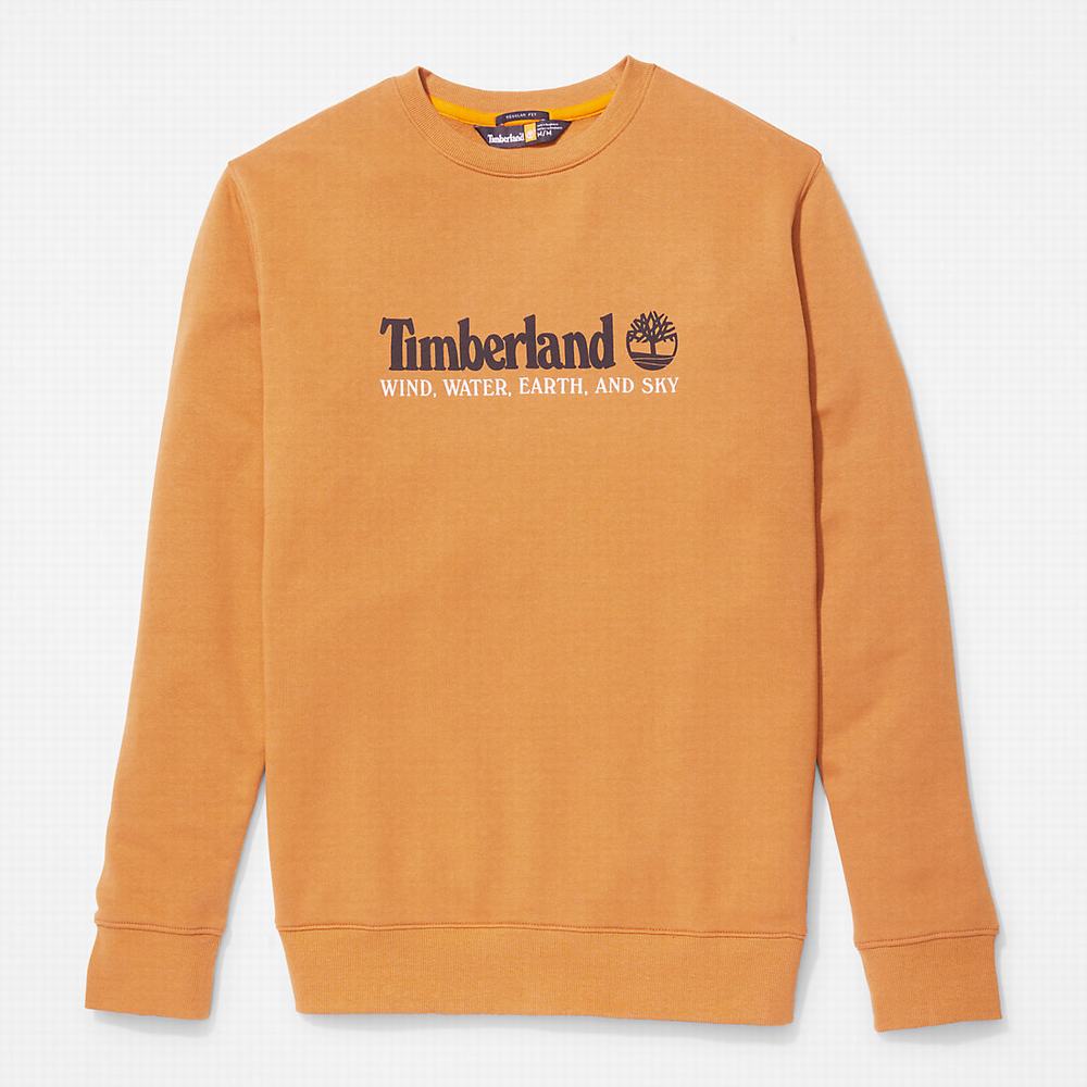 Pánské Mikiny Timberland Vítr, Vody, Earth and Sky™ Žluté | TI31890-308