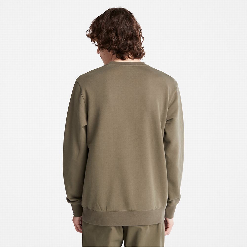 Pánské Mikiny Timberland Vítr, Vody, Earth and Sky Crewneck Tmavě Zelene | TI96534-561