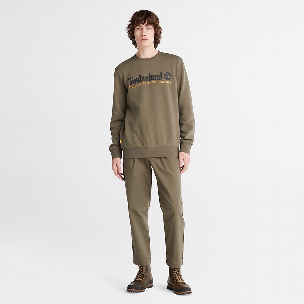 Pánské Mikiny Timberland Vítr, Vody, Earth and Sky Crewneck Tmavě Zelene | TI96534-561