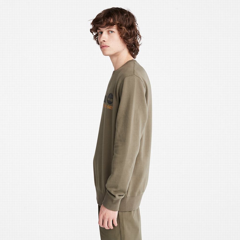 Pánské Mikiny Timberland Vítr, Vody, Earth and Sky Crewneck Tmavě Zelene | TI96534-561
