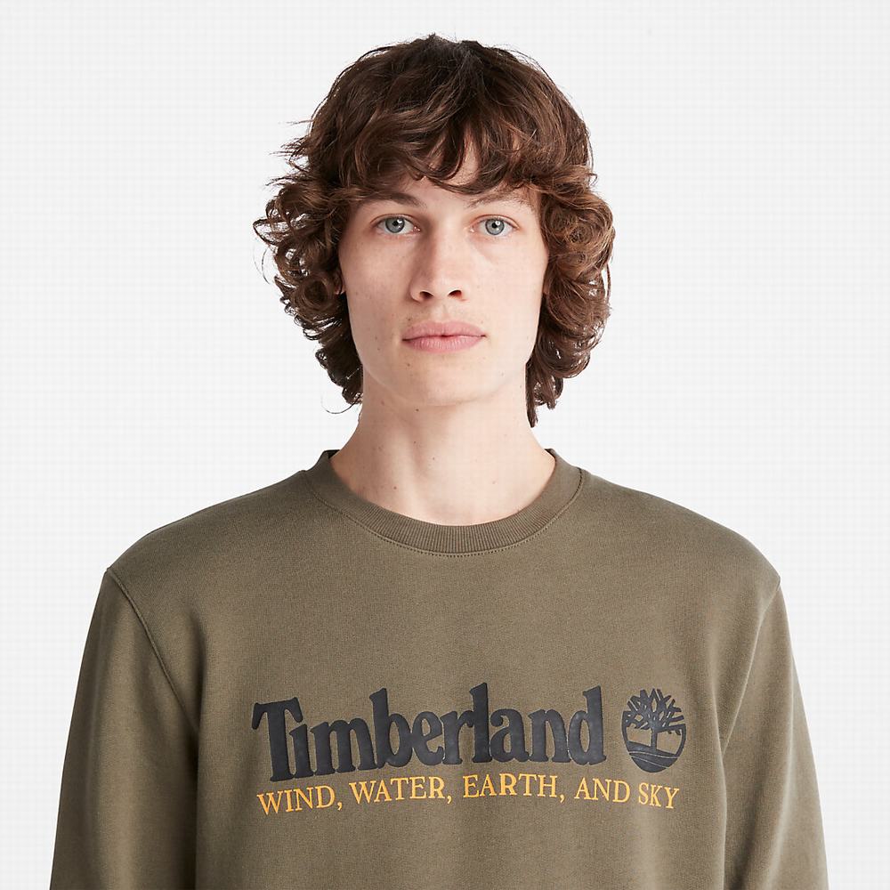 Pánské Mikiny Timberland Vítr, Vody, Earth and Sky Crewneck Tmavě Zelene | TI96534-561