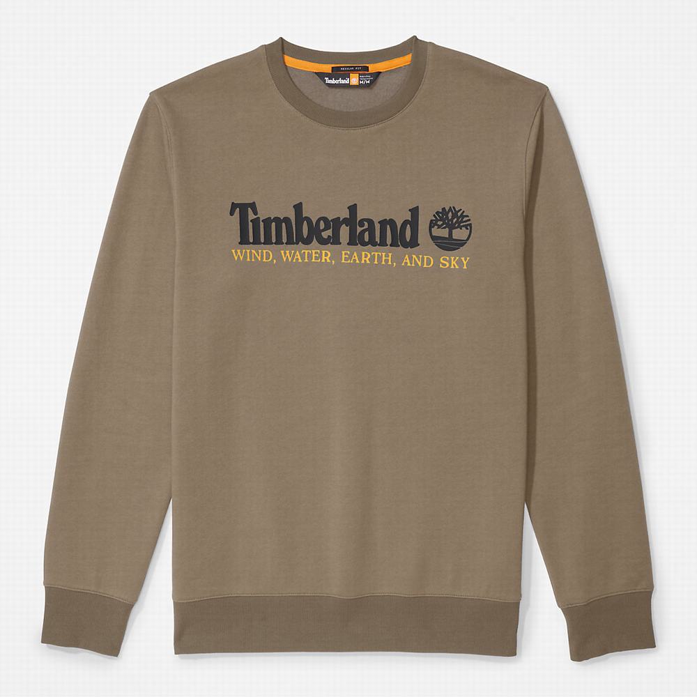 Pánské Mikiny Timberland Vítr, Vody, Earth and Sky Crewneck Tmavě Zelene | TI96534-561