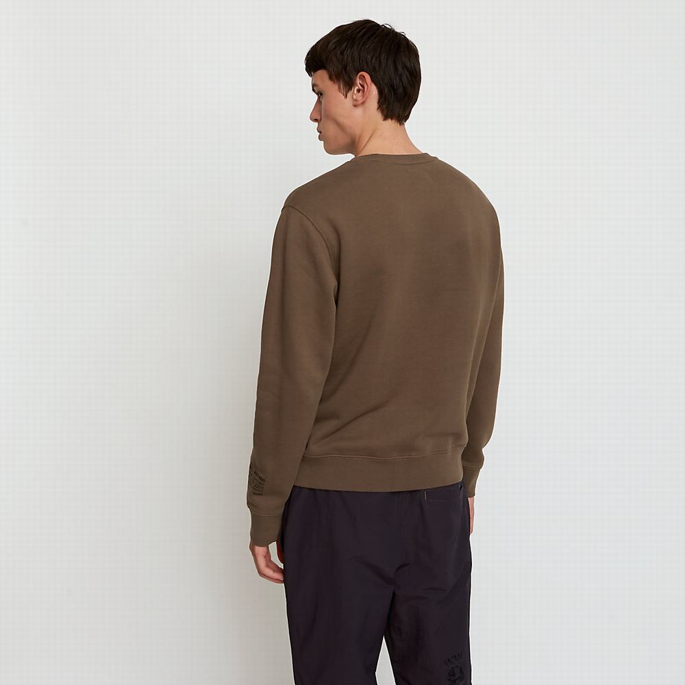 Pánské Mikiny Timberland x WoodWood Crew Šedé | TI63521-928