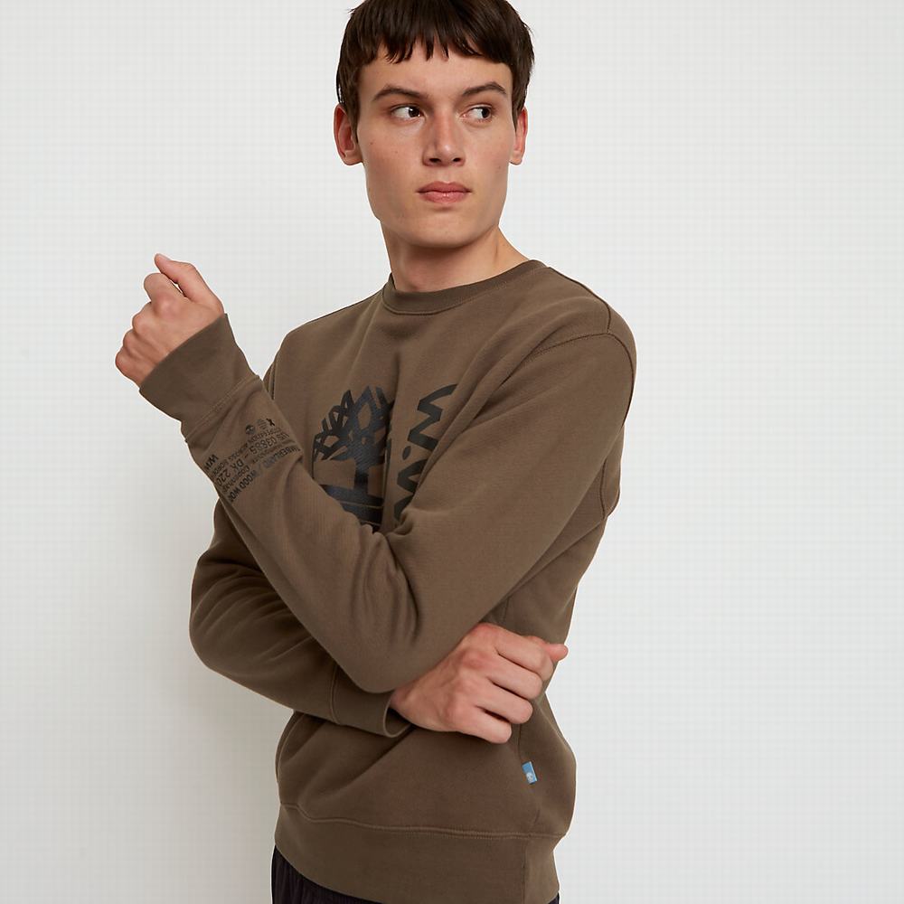Pánské Mikiny Timberland x WoodWood Crew Šedé | TI63521-928