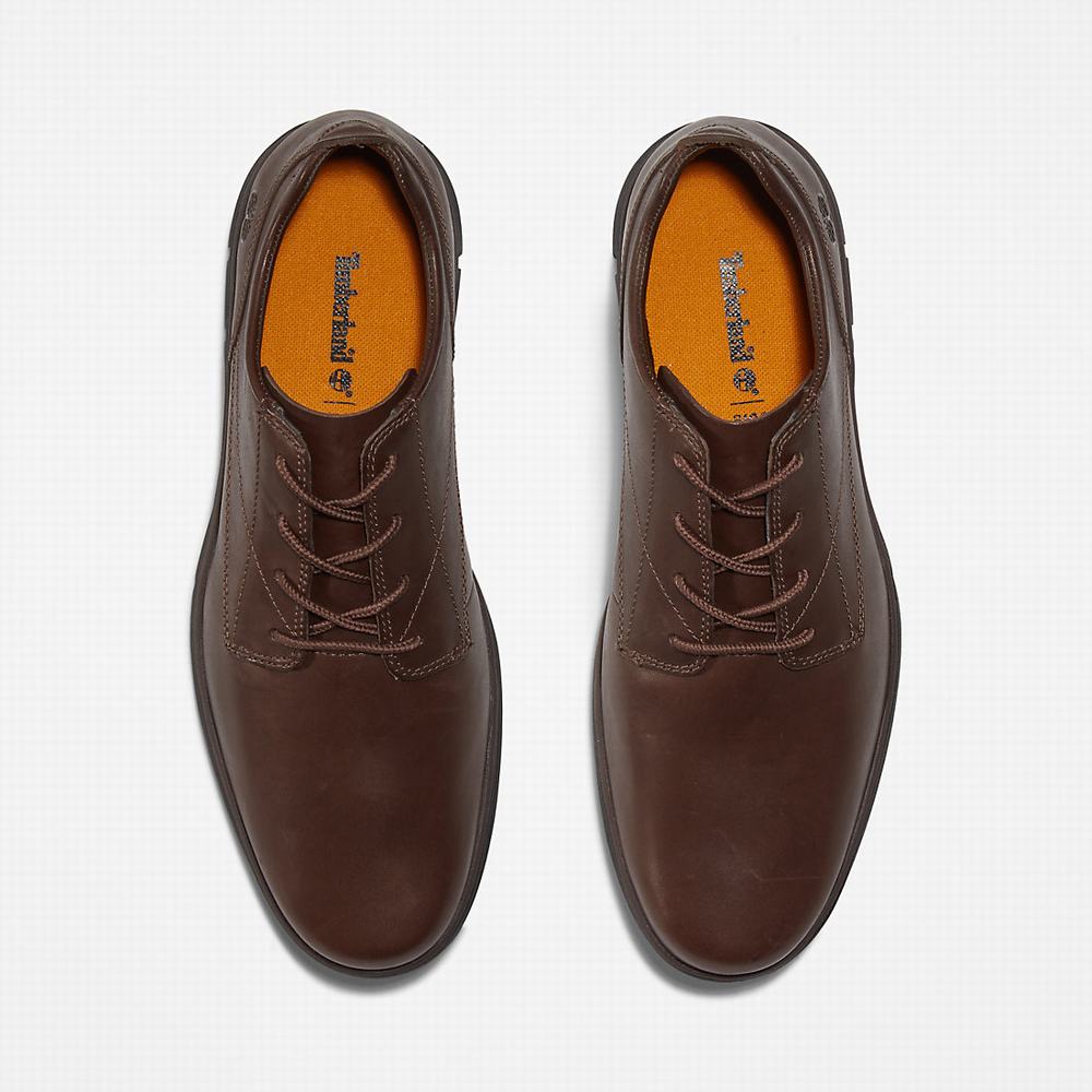 Pánské Oxford Boty Timberland Bradstreet Plain Špicí Hnědé | TI01592-274