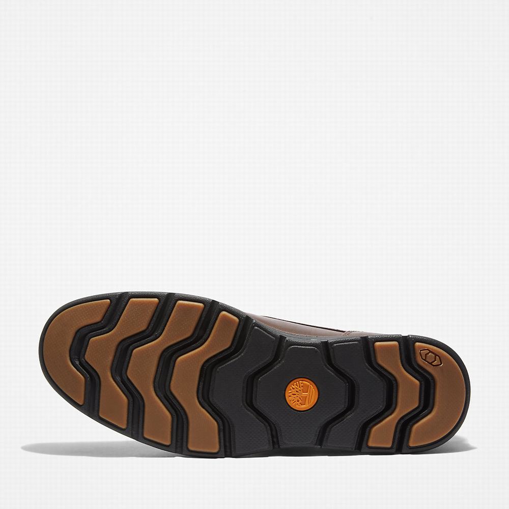 Pánské Oxford Boty Timberland Bradstreet Plain Špicí Hnědé | TI01592-274