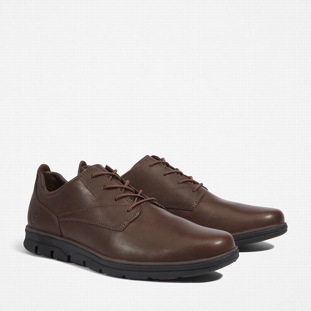 Pánské Oxford Boty Timberland Bradstreet Plain Špicí Hnědé | TI01592-274
