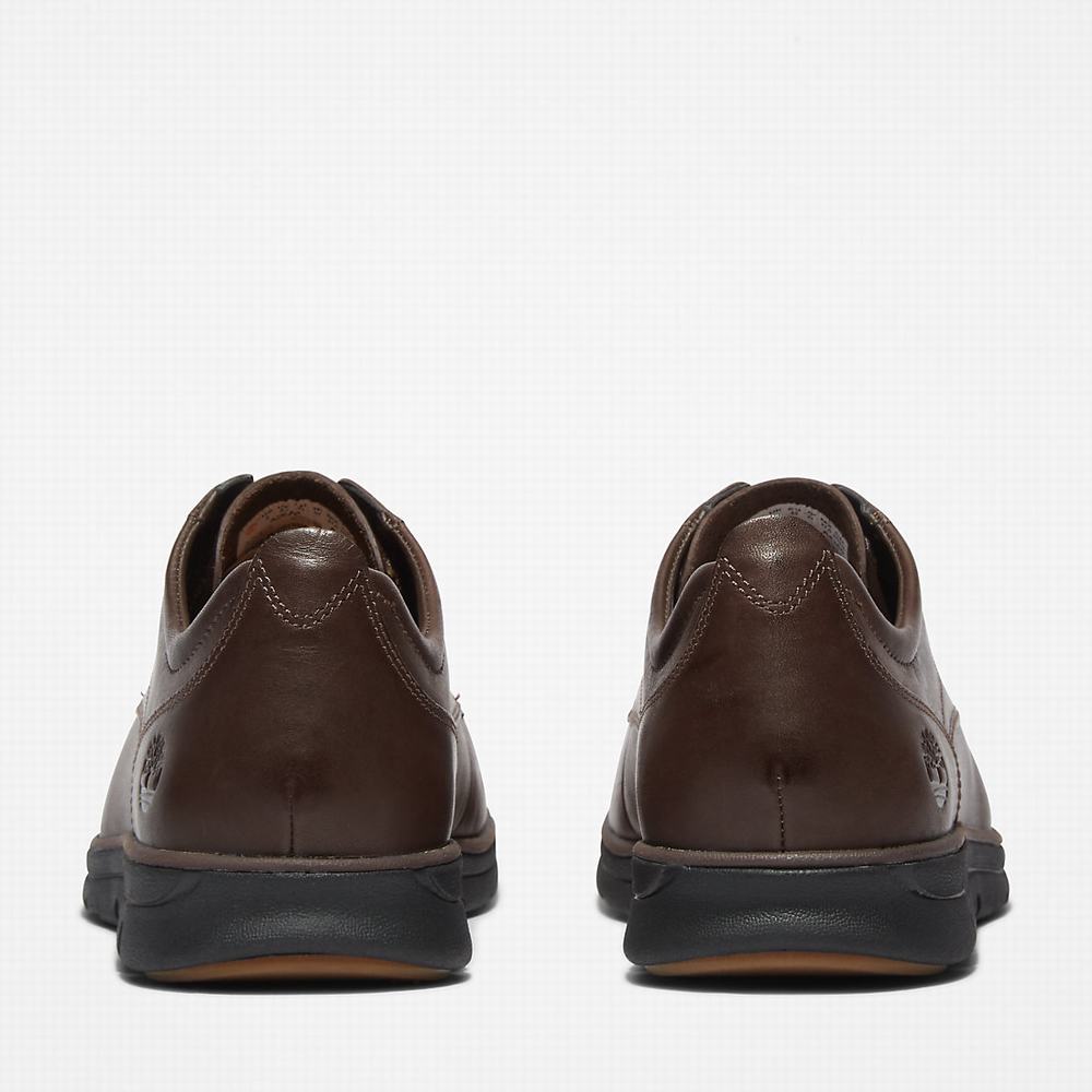 Pánské Oxford Boty Timberland Bradstreet Plain Špicí Hnědé | TI01592-274