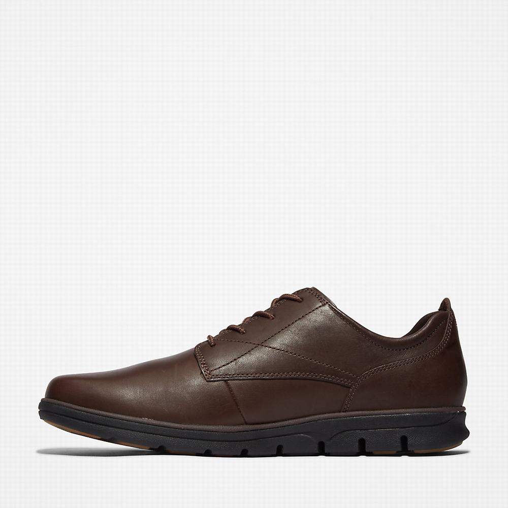 Pánské Oxford Boty Timberland Bradstreet Plain Špicí Hnědé | TI01592-274