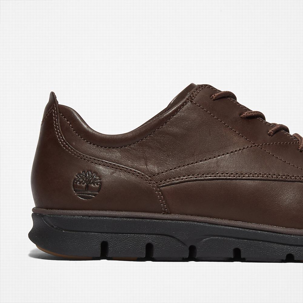 Pánské Oxford Boty Timberland Bradstreet Plain Špicí Hnědé | TI01592-274