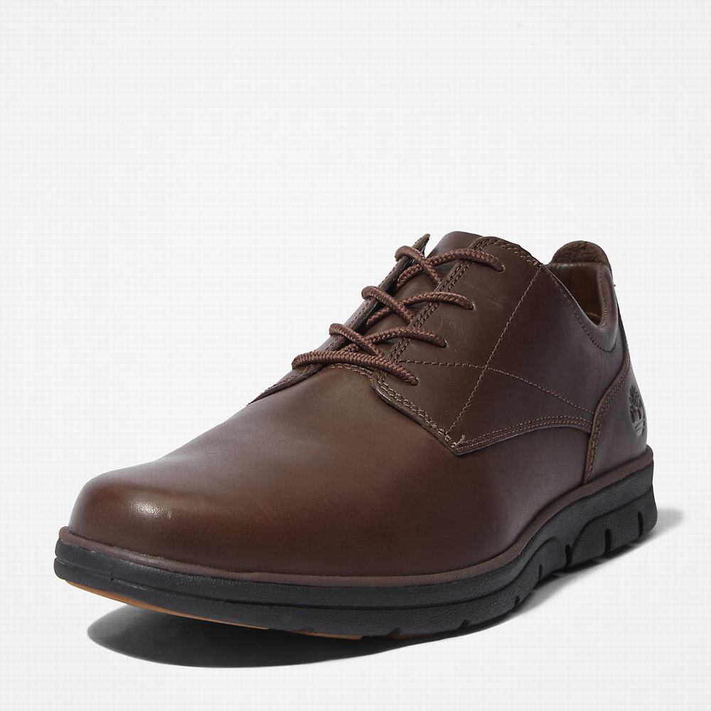 Pánské Oxford Boty Timberland Bradstreet Plain Špicí Hnědé | TI01592-274