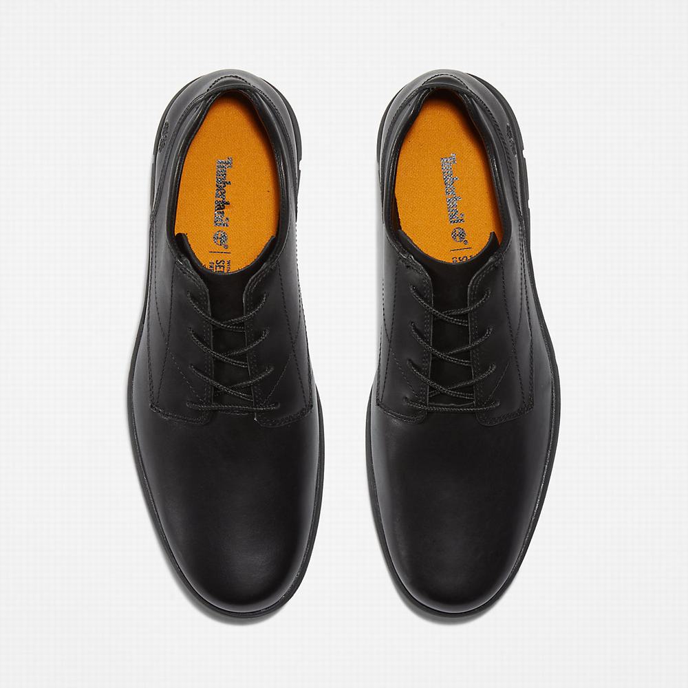 Pánské Oxford Boty Timberland Bradstreet Plain Špicí Černé | TI18250-968
