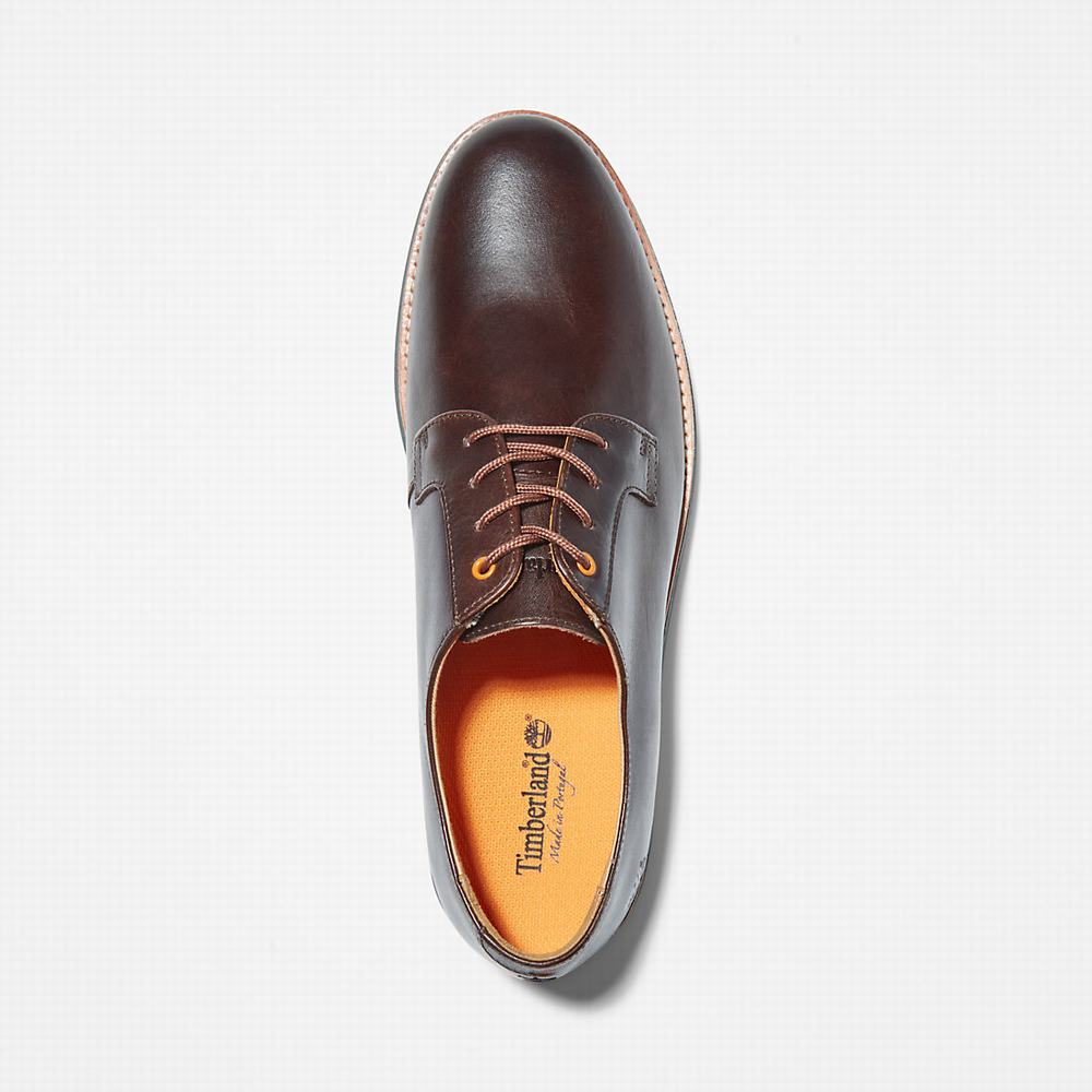 Pánské Oxford Boty Timberland City Groove Tmavě Hnědé | TI89612-983