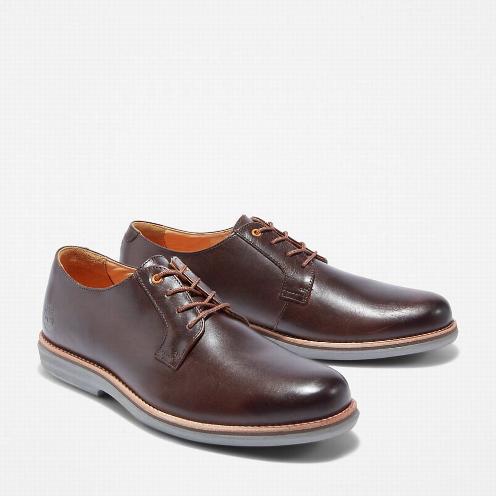 Pánské Oxford Boty Timberland City Groove Tmavě Hnědé | TI89612-983