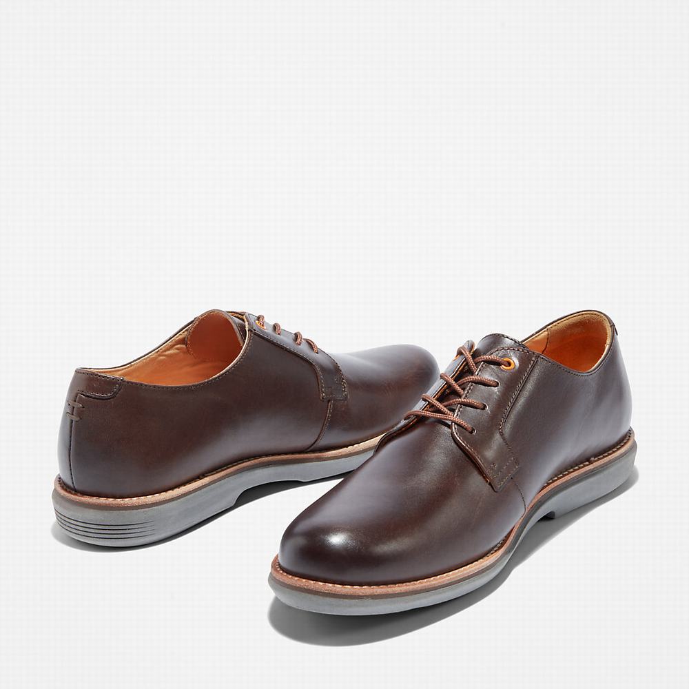 Pánské Oxford Boty Timberland City Groove Tmavě Hnědé | TI89612-983