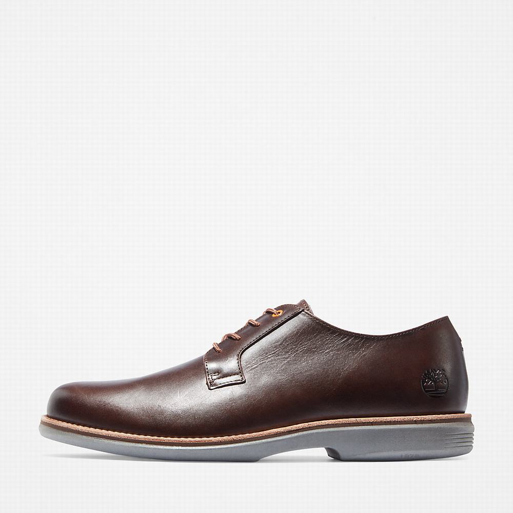 Pánské Oxford Boty Timberland City Groove Tmavě Hnědé | TI89612-983