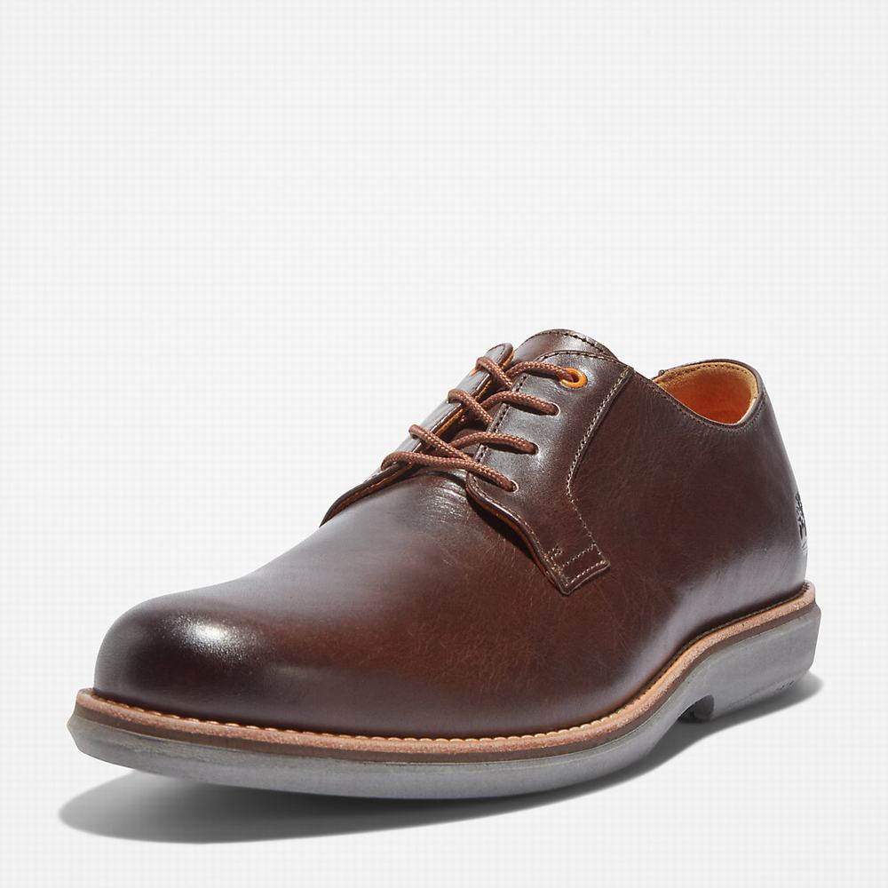 Pánské Oxford Boty Timberland City Groove Tmavě Hnědé | TI89612-983