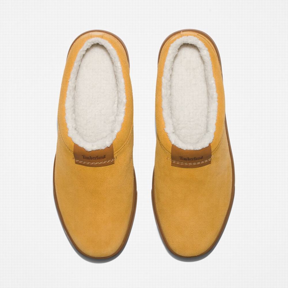 Pánské Pantofle Timberland Ashwood Park Leather Hnědé | TI57349-187