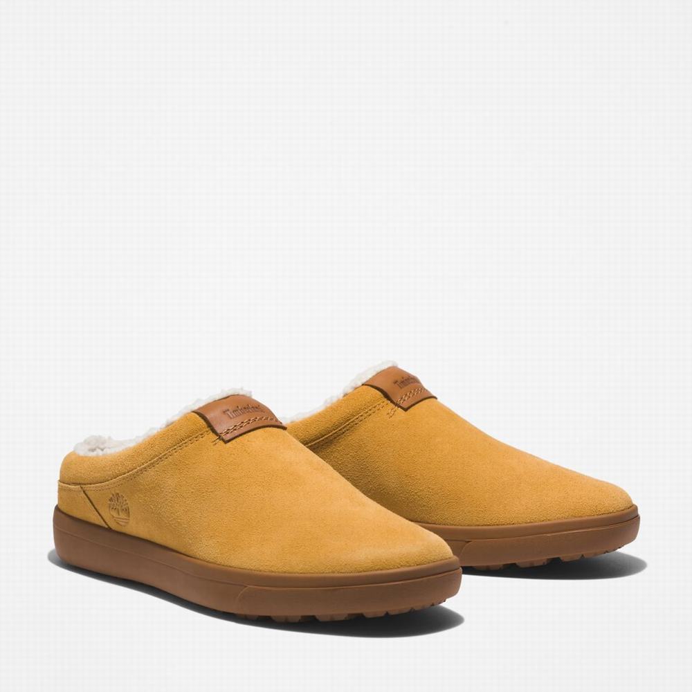 Pánské Pantofle Timberland Ashwood Park Leather Hnědé | TI57349-187