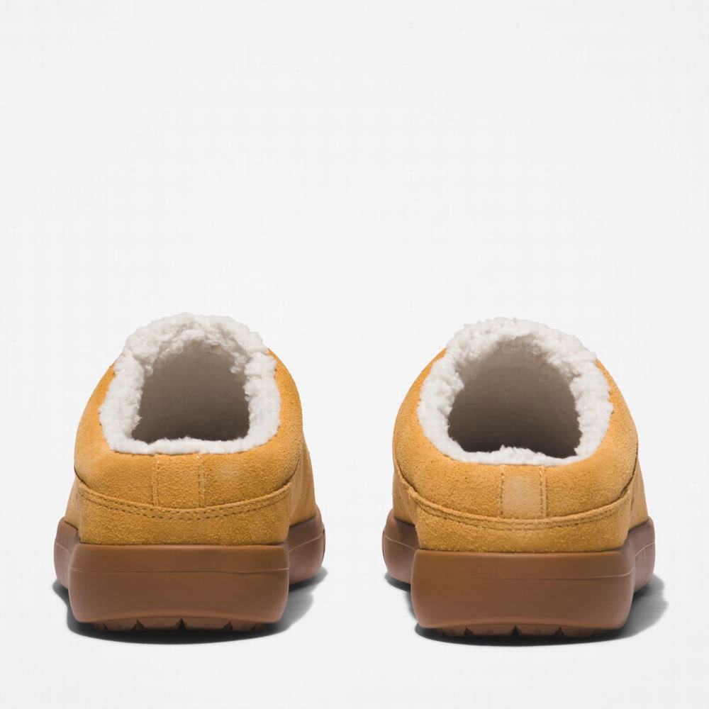 Pánské Pantofle Timberland Ashwood Park Leather Hnědé | TI57349-187