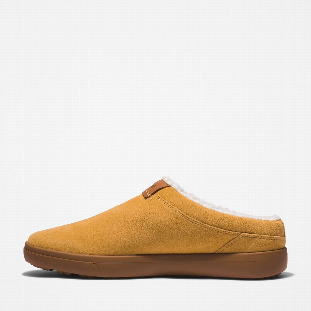 Pánské Pantofle Timberland Ashwood Park Leather Hnědé | TI57349-187