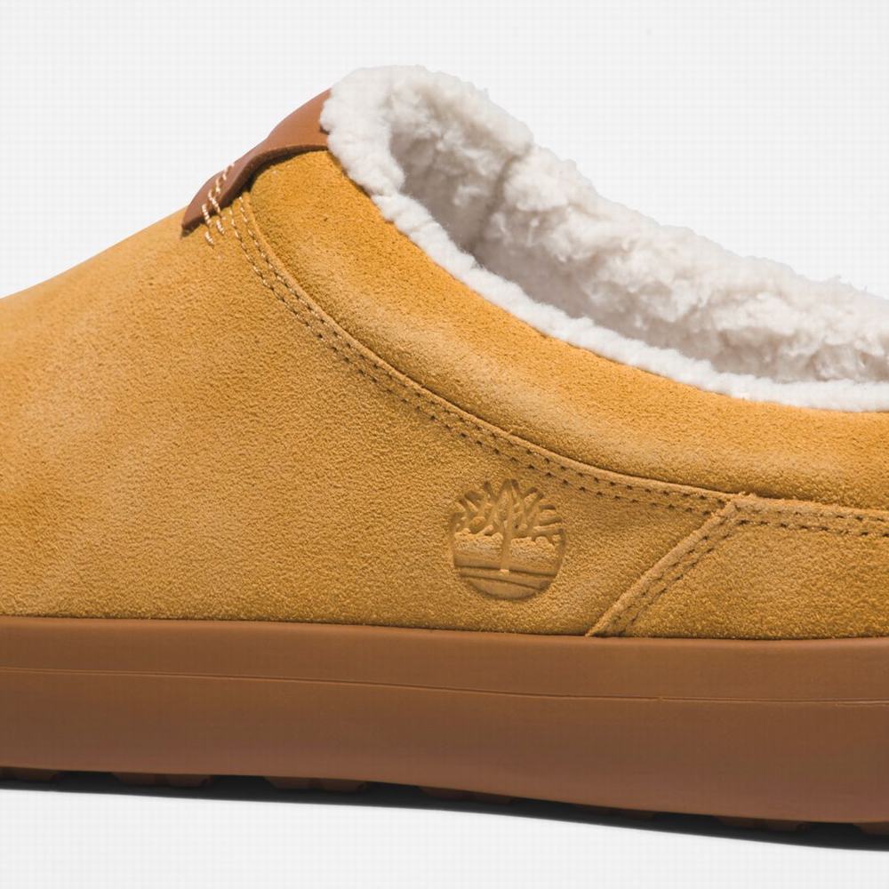 Pánské Pantofle Timberland Ashwood Park Leather Hnědé | TI57349-187