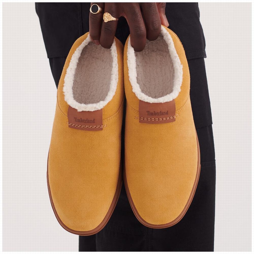 Pánské Pantofle Timberland Ashwood Park Leather Hnědé | TI57349-187