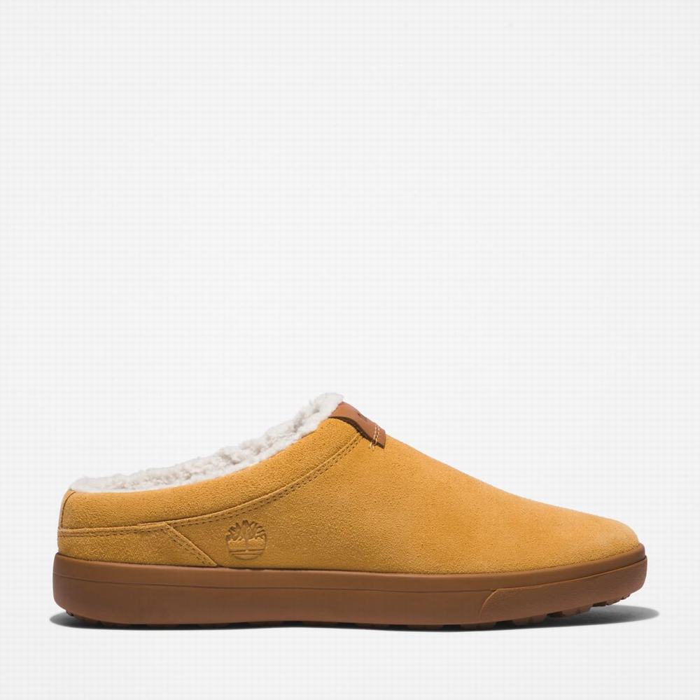Pánské Pantofle Timberland Ashwood Park Leather Hnědé | TI57349-187