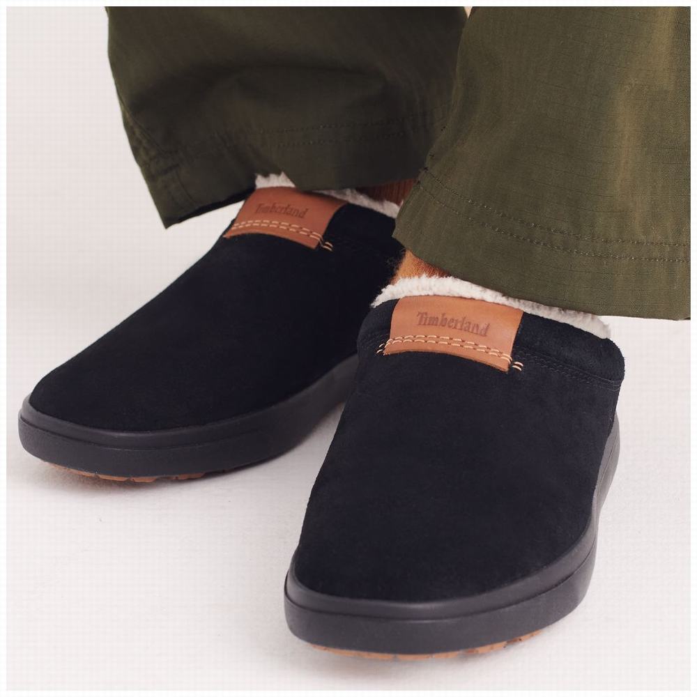 Pánské Pantofle Timberland Ashwood Park Leather Černé | TI59478-905