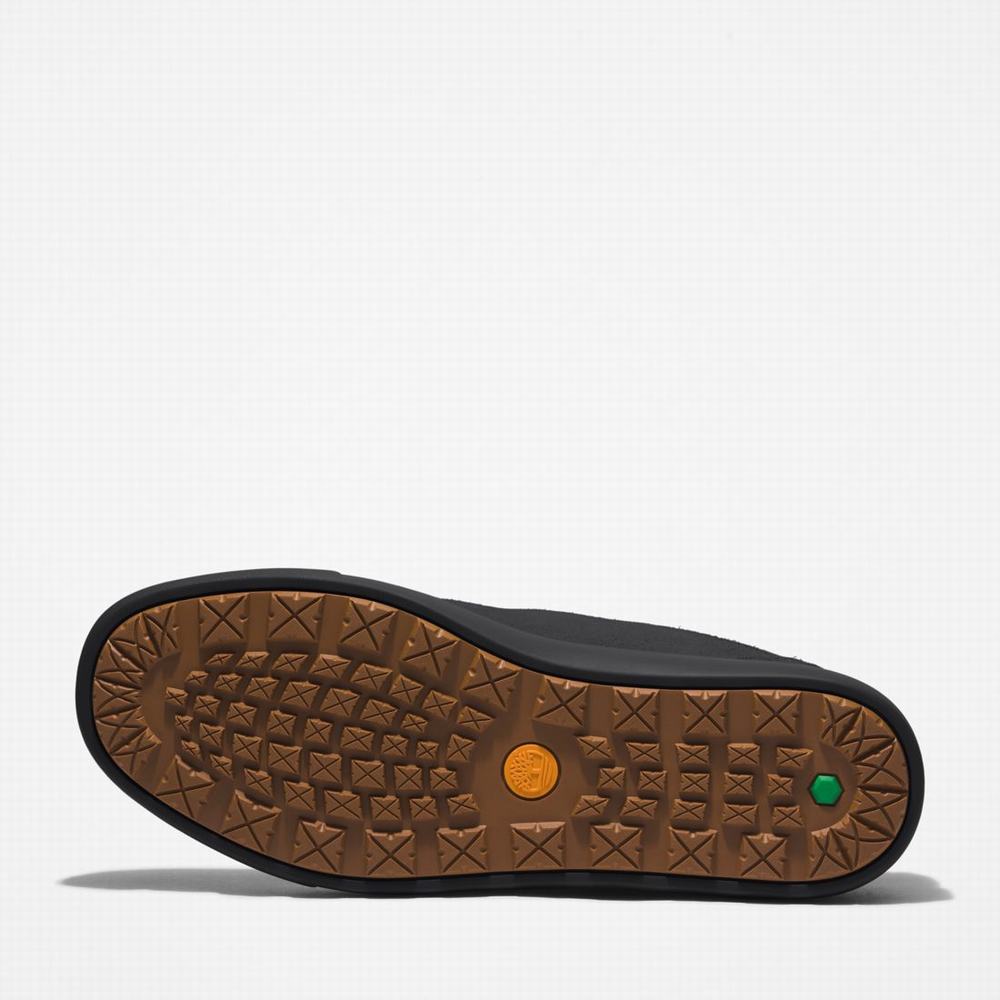 Pánské Pantofle Timberland Ashwood Park Leather Černé | TI59478-905