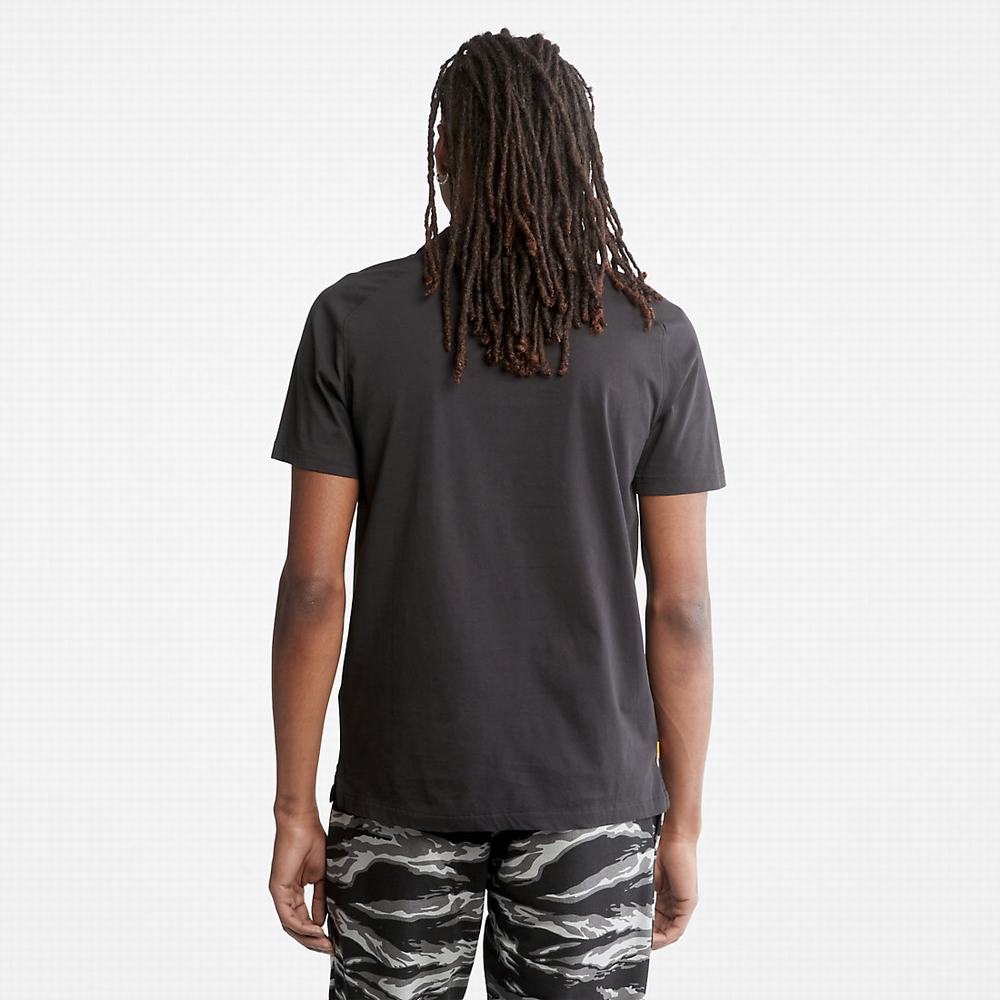 Pánské Polo Triko Timberland TimberFresh™ Supima® Bavlněné Černé | TI19285-390