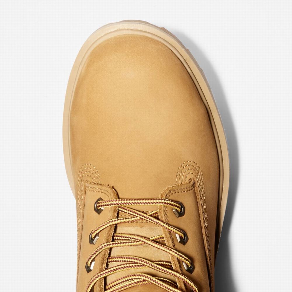 Pánské Pracovní Boty Timberland Direct Attach 6