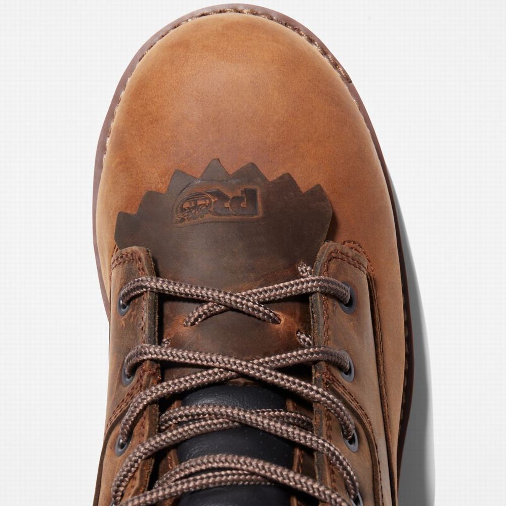 Pánské Pracovní Boty Timberland Evergreen Logger Composite Špicí Waterproof Hnědé | TI62170-914