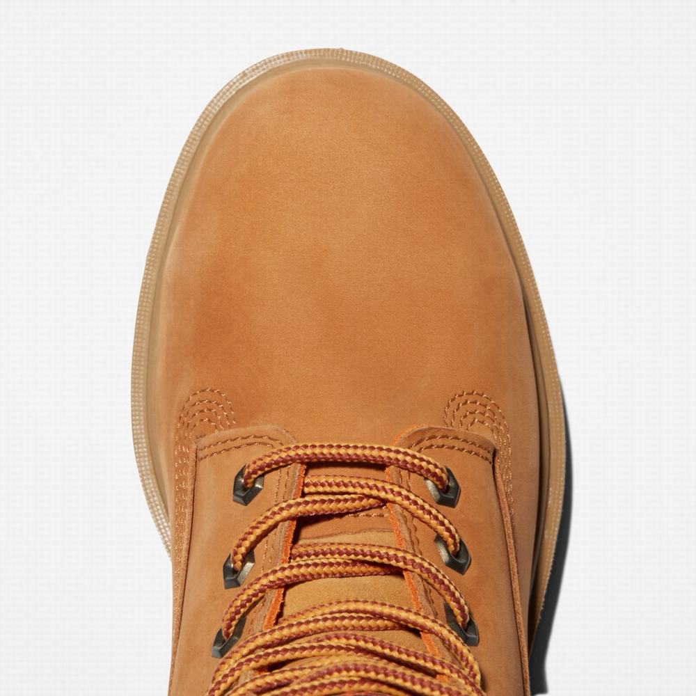 Pánské Pracovní Boty Timberland Generation T Steel Špicí Waterproof Hnědé | TI81453-019