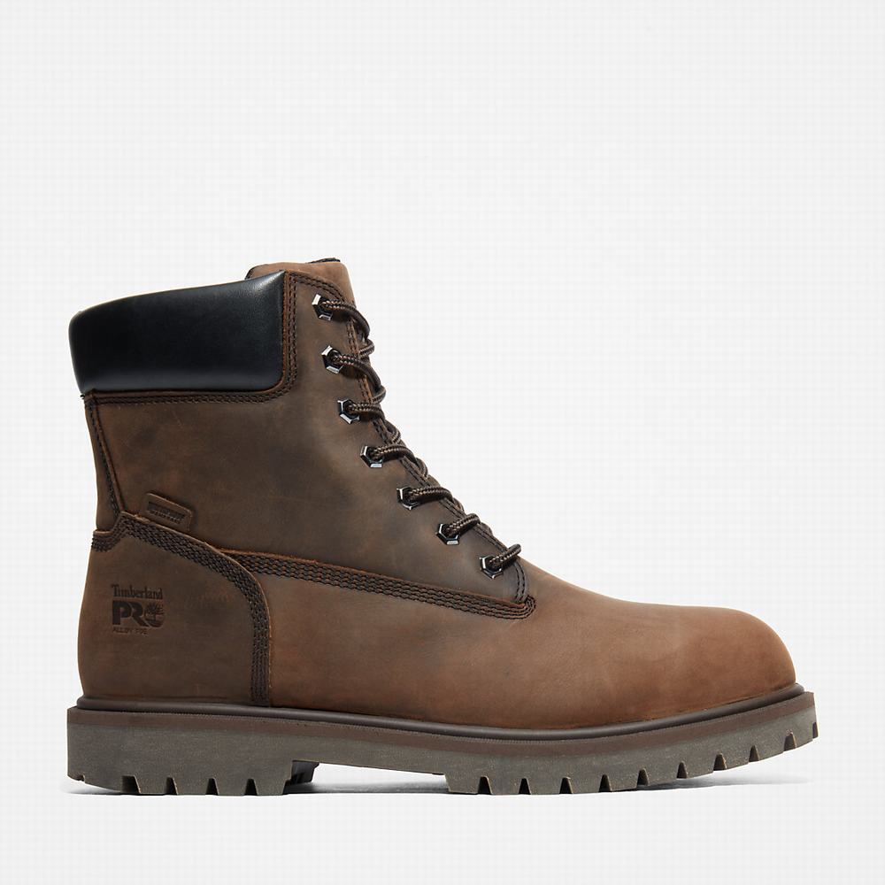 Pánské Pracovní Boty Timberland PRO® Icon Hnědé | TI12706-534