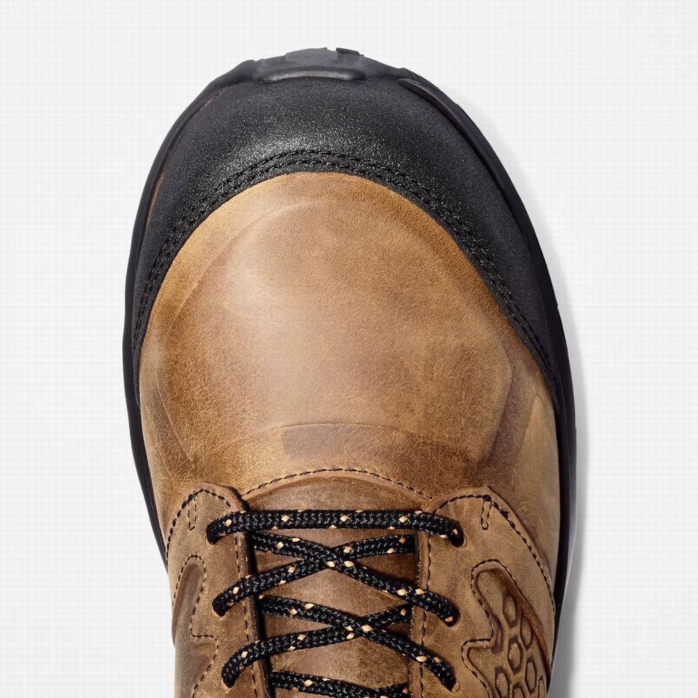 Pánské Pracovní Boty Timberland Reaxion Composite Špicí Waterproof Pracovní Sneaker Hnědé Oranžové | TI81023-068