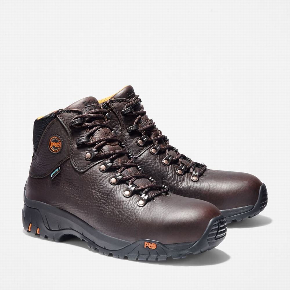 Pánské Pracovní Boty Timberland TiTAN Alloy Špicí Waterproof Tmavě Hnědé | TI31604-085