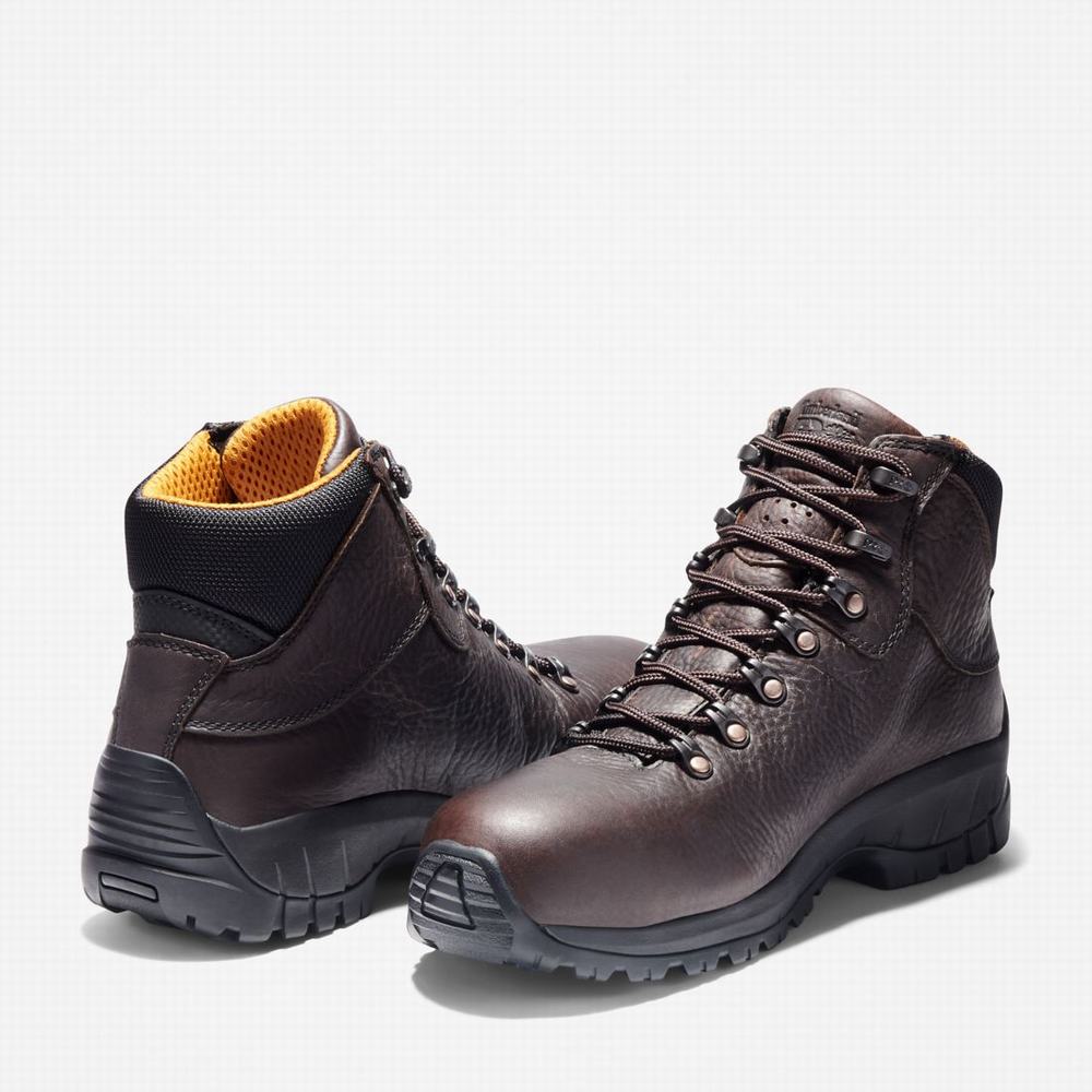 Pánské Pracovní Boty Timberland TiTAN Alloy Špicí Waterproof Tmavě Hnědé | TI31604-085