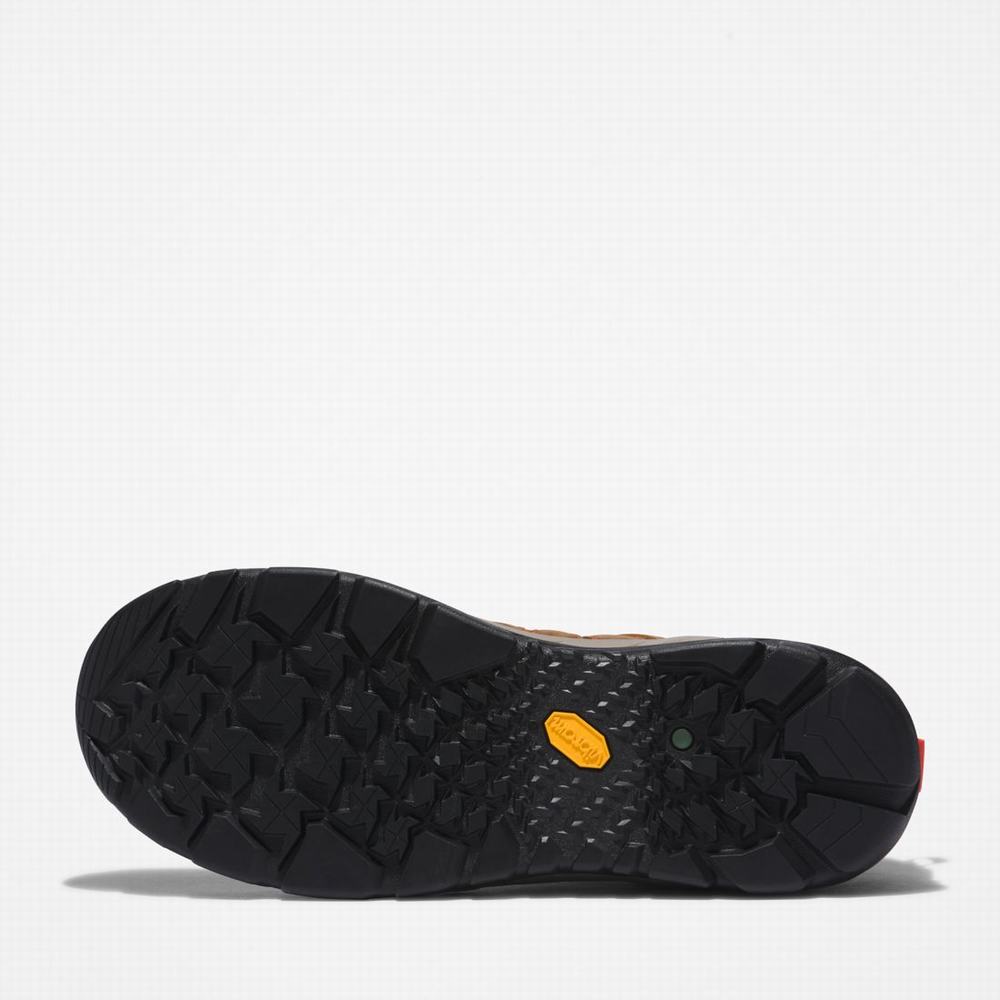 Pánské Pracovní Boty Timberland Trailwind Waterproof Comp-Špicí Hnědé Červené | TI86193-491